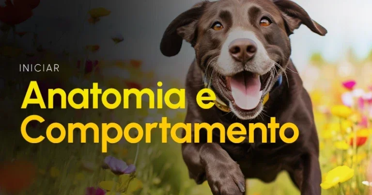 71976-4995a408d1b3994dd2d20037346a92a4 71976-4995a408d1b3994dd2d20037346a92a4